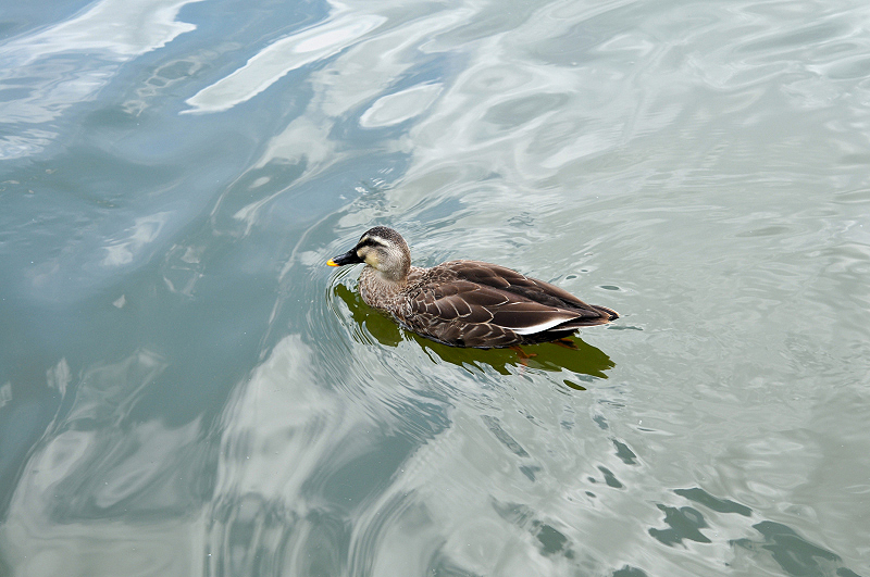 image0176