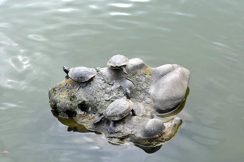 image0177