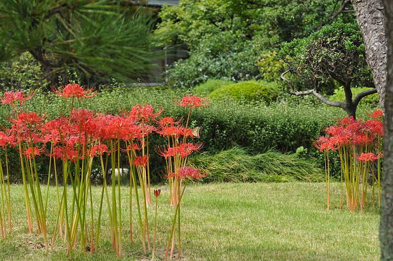 image0180