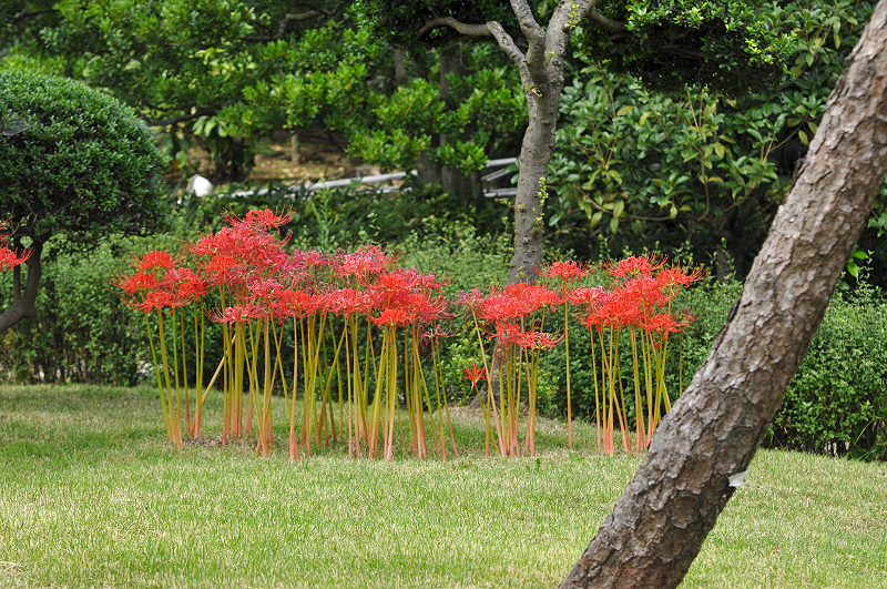image0181