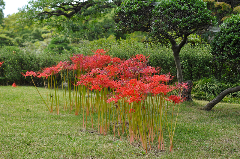image0182