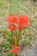 image0160