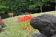 image0166
