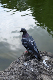 image0167