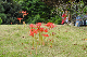 image0169