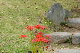 image0170