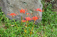 image0171