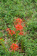 image0173