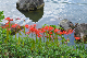 image0174