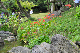 image0175