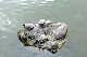 image0177