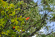 image0178