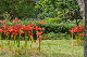 image0180