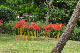 image0181