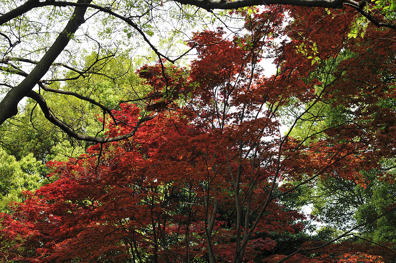 image0022