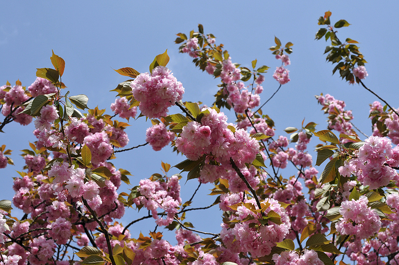 image0054