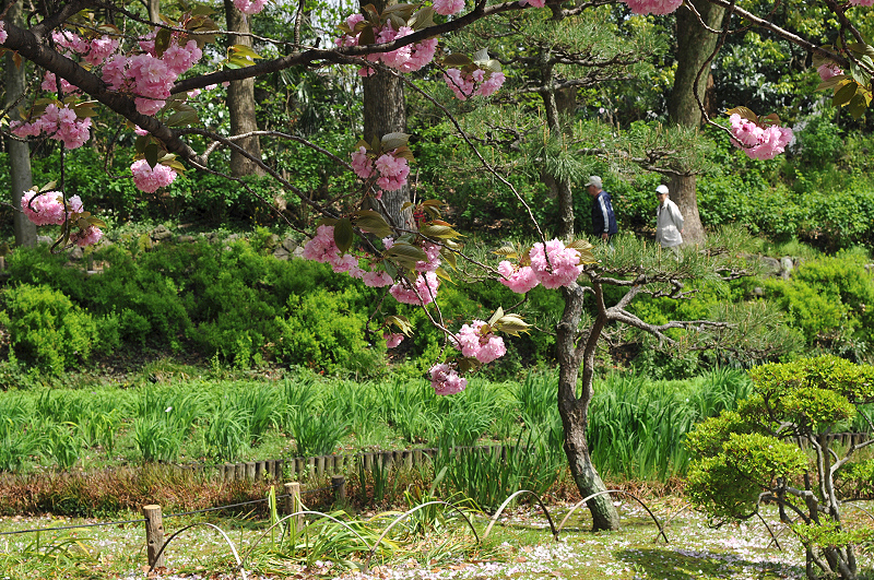 image0062