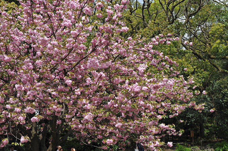 image0065