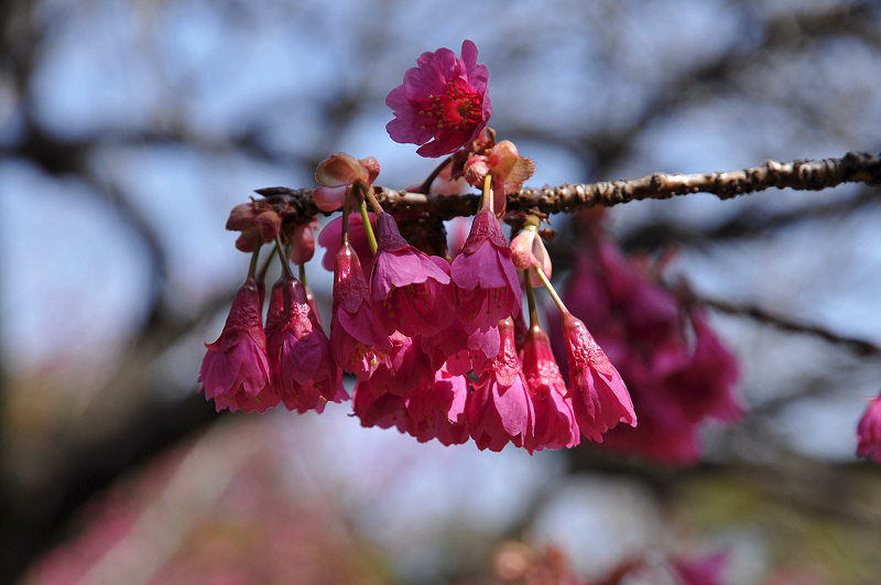 image0122
