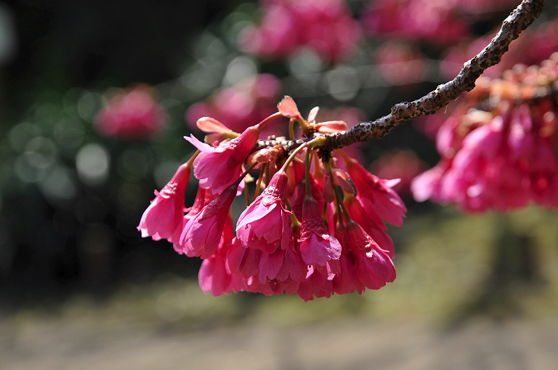 image0128