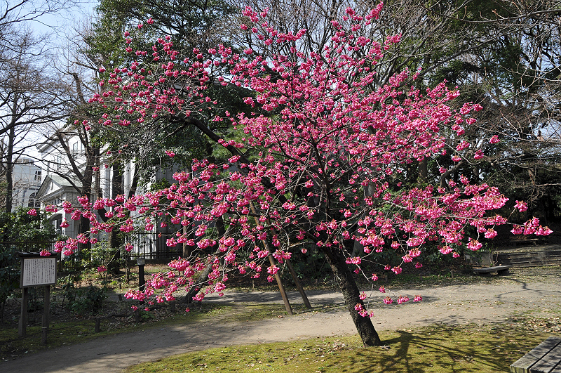 image0129