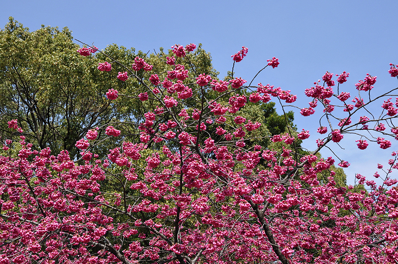 image0130