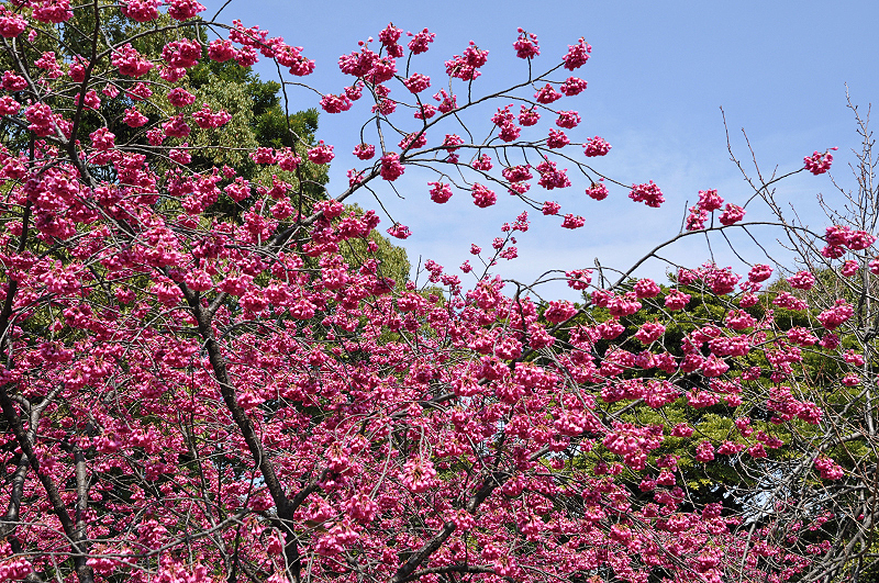 image0131