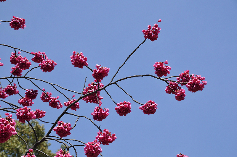 image0134