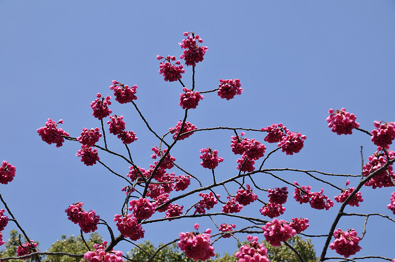 image0135