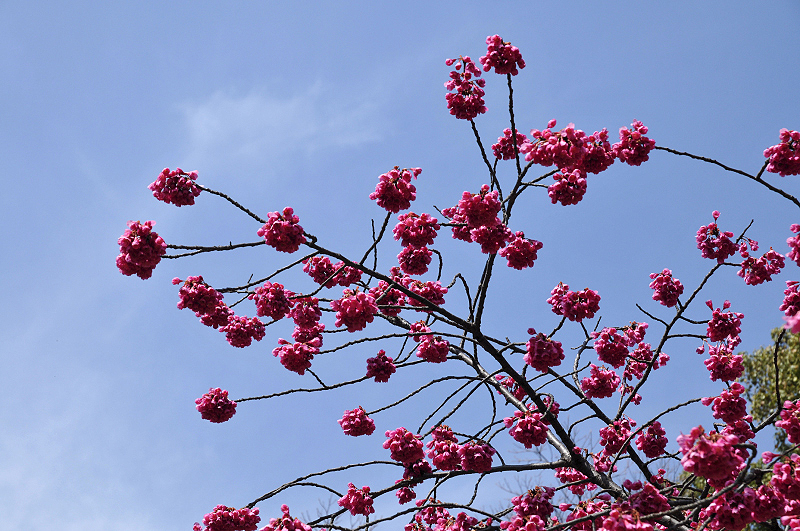 image0136