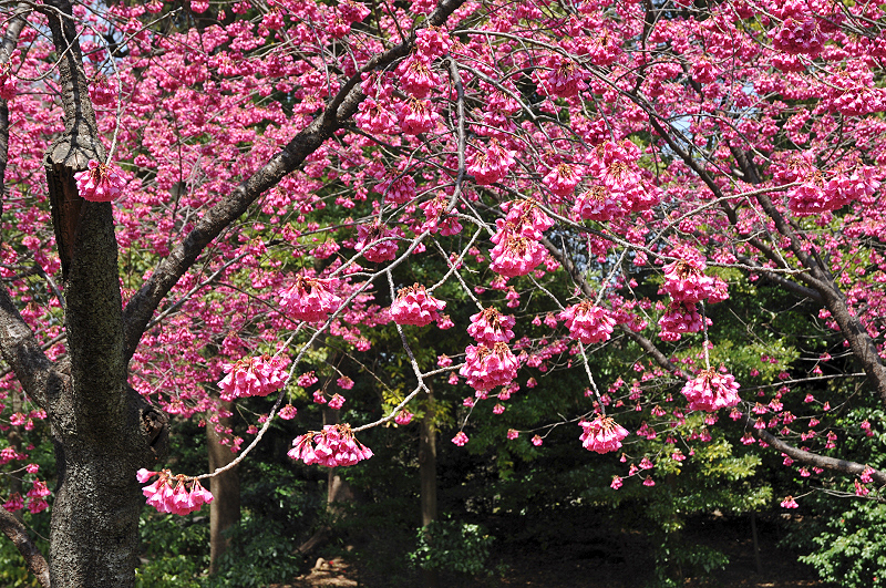 image0137