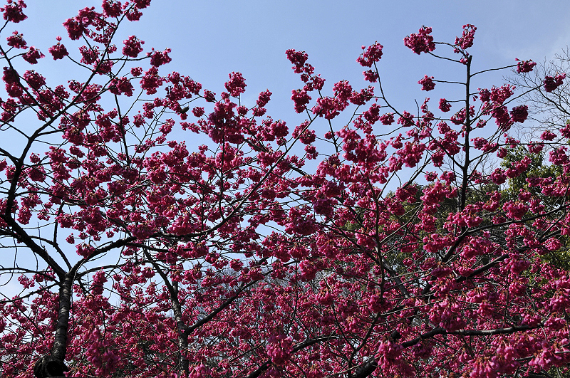 image0140