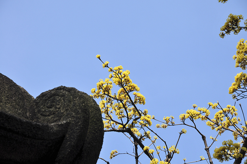 image0144