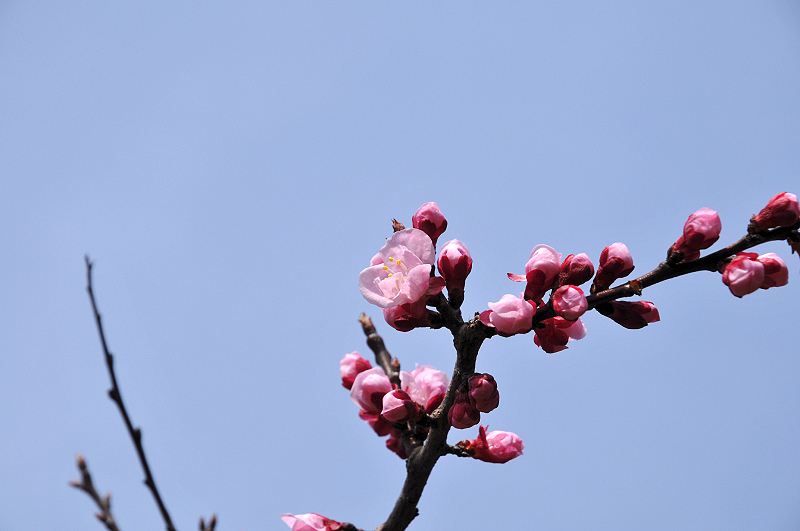image0152
