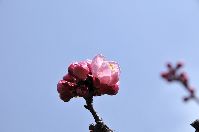 image0155