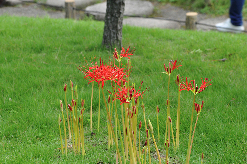 image0012