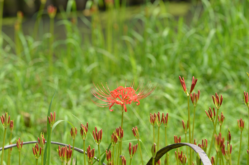 image0099