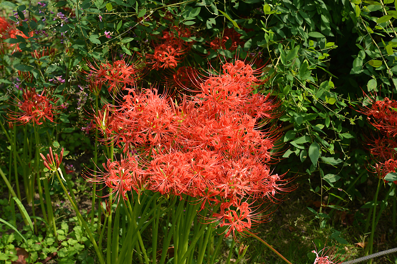 image0108