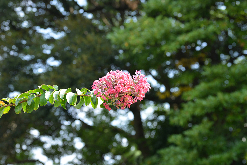 image0120