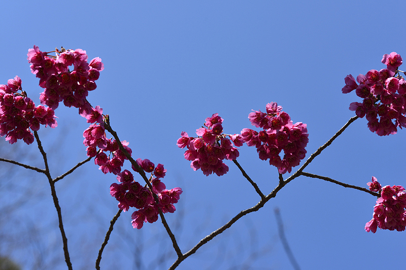 image0237