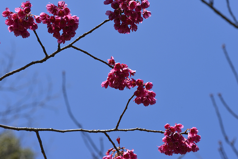 image0238