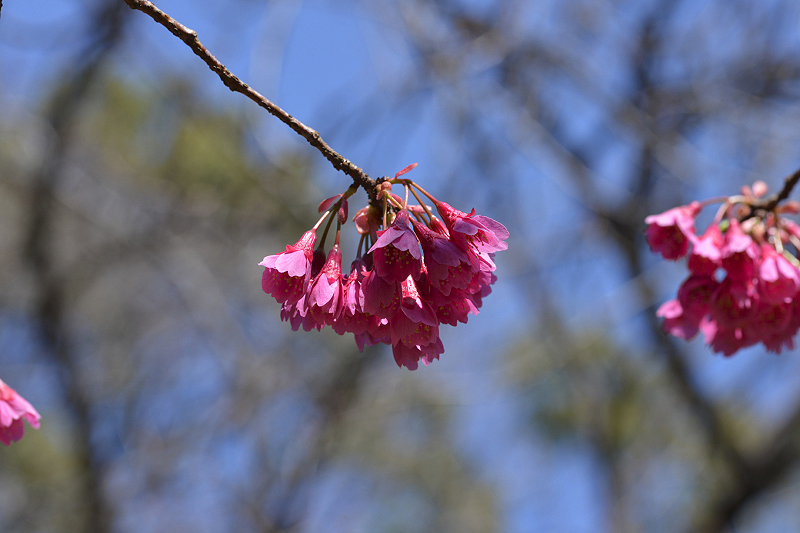 image0242