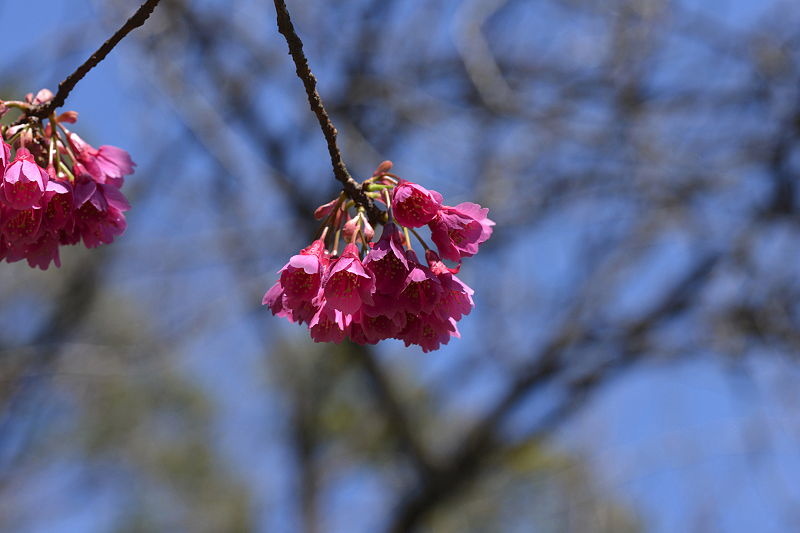 image0244