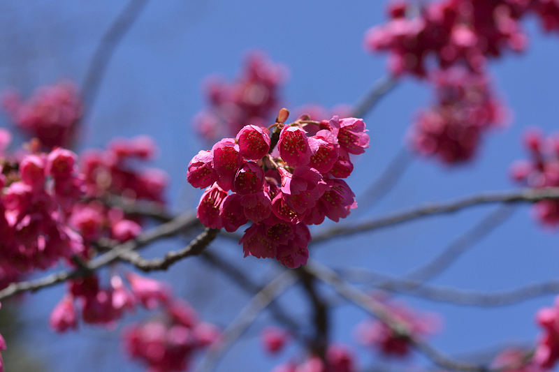 image0246