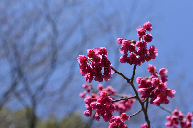 image0247