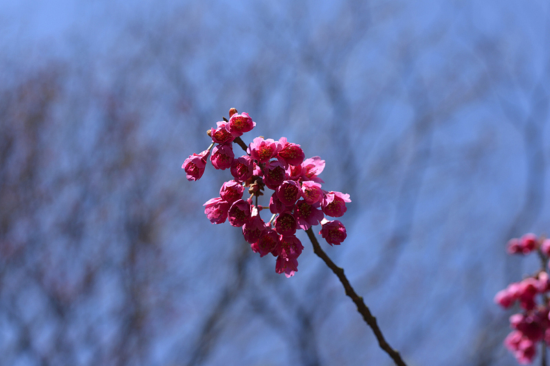 image0248