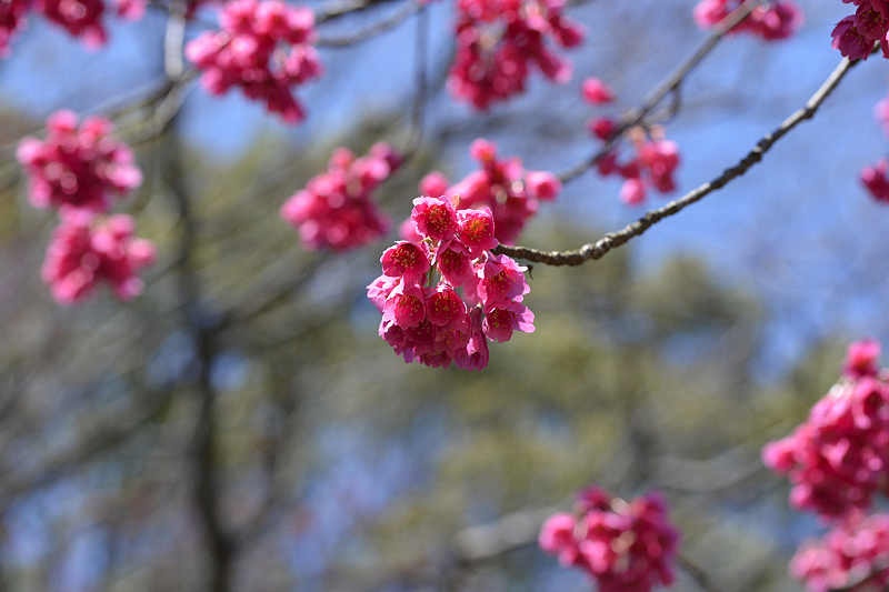 image0252