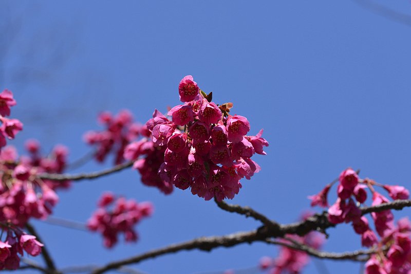 image0254