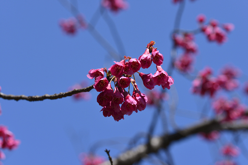 image0255