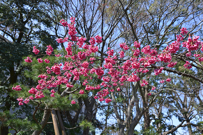 image0256